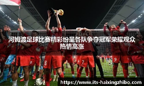 海星体育官网