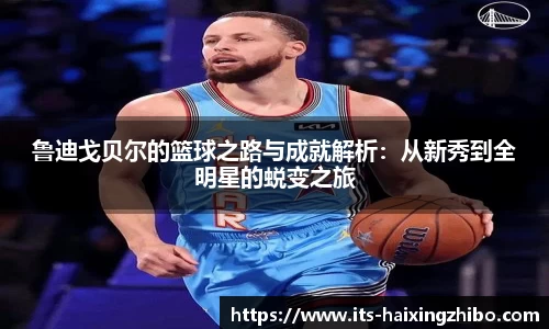 海星体育