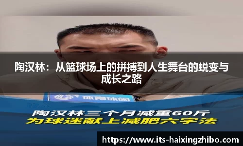 海星体育直播