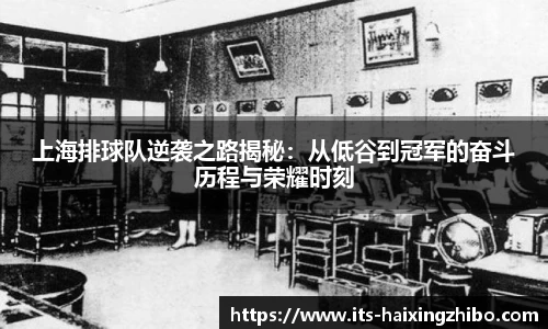 上海排球队逆袭之路揭秘：从低谷到冠军的奋斗历程与荣耀时刻
